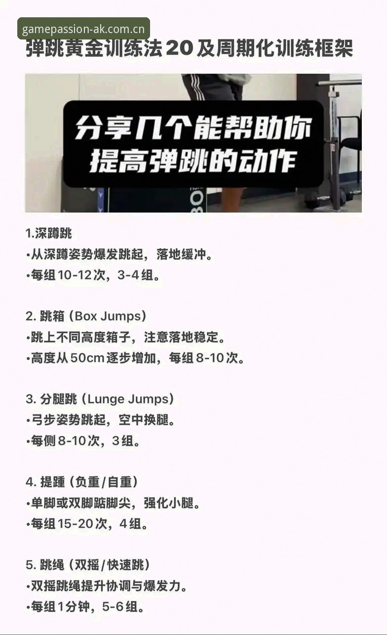 AK体育平台使用完整指南：从新手到高手的实用教程
